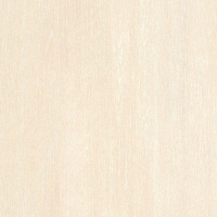 17006655453857-casalgrandebodenplanks30x120planksbeige