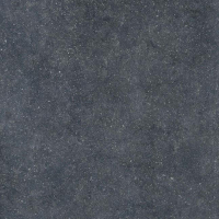 17162813793255-bodencasalgrandekollektionstilegrosze60x120farbeblackanticata