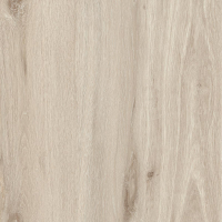 17222525828073-bodenmiragekollektionjurupagrosze20x120farbebasicnatural