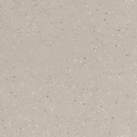 17334757559785-bodenfioranesekollektioncementinecoccigrosze20x20farbetintegrigio