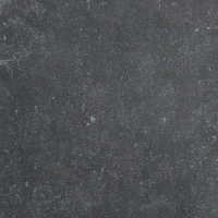 17334764511491-bodenfioranesekollektionmanoirgrosze604x906farbenoirhainautlucidoret